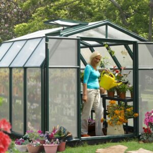 Rion Hobby 8X8 Greenhouse