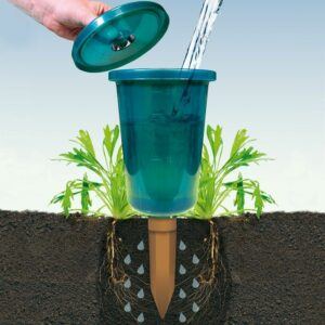 Bio Green Hydro Cup Raised Bed Watering System (1 Watering Stake + 1 Cup)