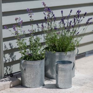 Galvanised Planters Set Of 3
