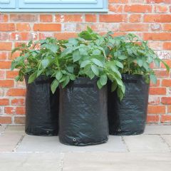 Haxnicks Potato Patio Planters - 3 Pack