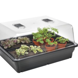 Stewart 52cm Fixed Thermostatic Controlled Electric Propagator