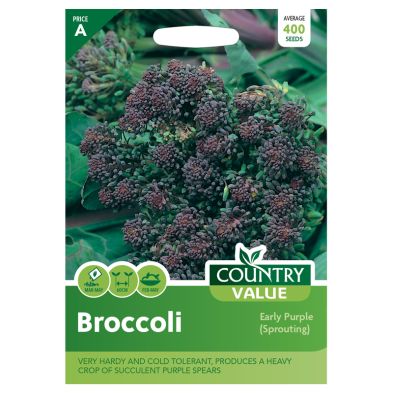 Country Value Broccoli Early Purple Seeds