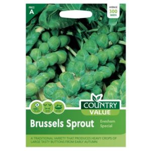 Country Value Brussels Sprout Evesham Seeds