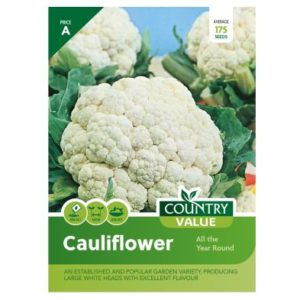 Country Value Cauliflower All the Year Seeds