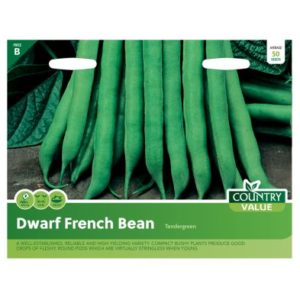 Country Value Dwarf Bean Tendergreen Seeds