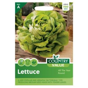 Country Value Lettuce All The Year Round Seeds