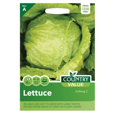 Country Value Lettuce Iceberg 2 Seeds