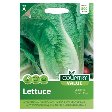 Country Value Lettuce Lobjoits Green Seeds