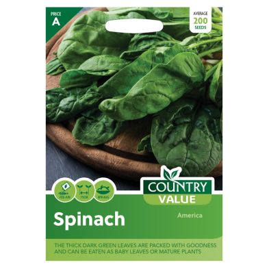 Country Value Spinach America Seeds