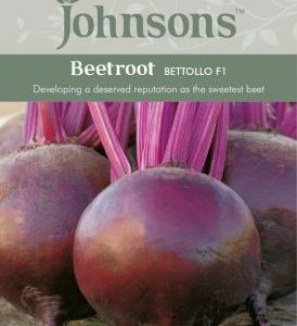Johnsons Beetroot Bettollo F1 Seeds