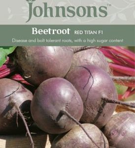 Johnsons Beetroot Red Titan F1 Seeds