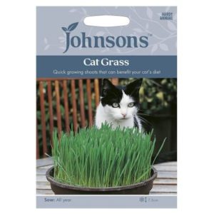 Johnsons Cat Grass - Avena sativa Seeds