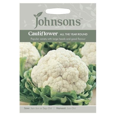 Johnsons Cauliflower All The Year Seeds