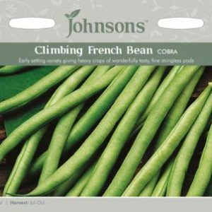 Johnsons Climbing Bean Cobra Seeds