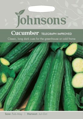 Johnsons Cucumber Telegraph Impro Seeds