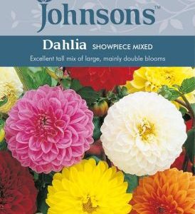 Johnsons Dahlia Showpiece Mixed Seeds
