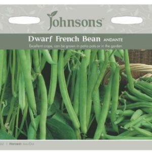 Johnsons Dwarf French Bean Andante Seeds