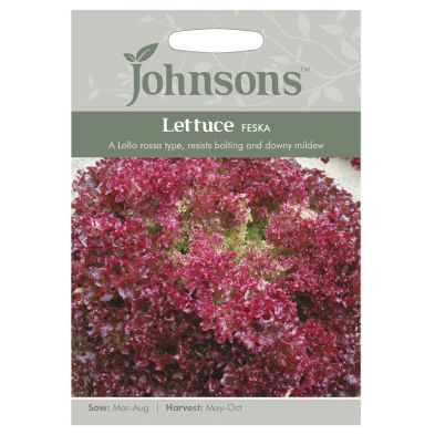 Johnsons Lettuce Feska Seeds