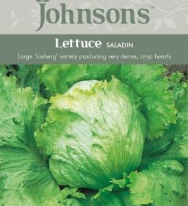 Johnsons Lettuce Saladin Seeds