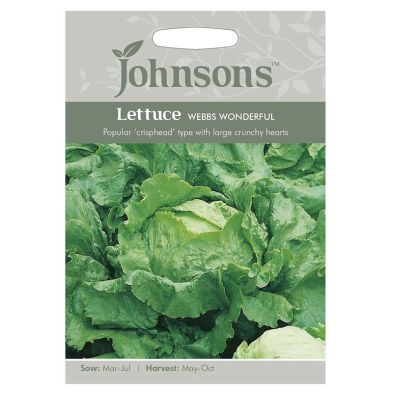 Johnsons Lettuce Webbs Wonderful Seeds