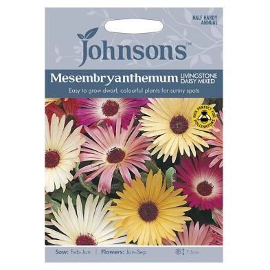 Johnsons Mesembryanthemum Livings Seeds