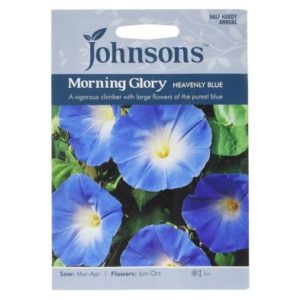 Johnsons Morning Glory Heavenly Blue Seeds