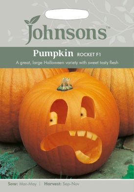 Johnsons Pumpkin Rocket F1 Seeds