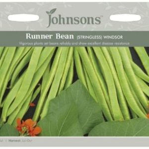 Johnsons Runner Bean Windsor Stringless Seeds