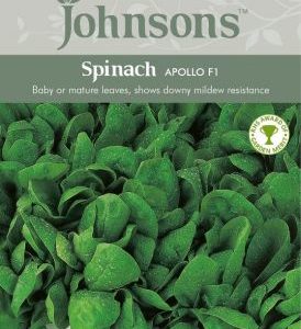 Johnsons Spinach Apollo F1 Seeds