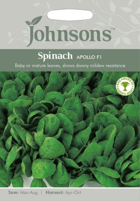 Johnsons Spinach Apollo F1 Seeds