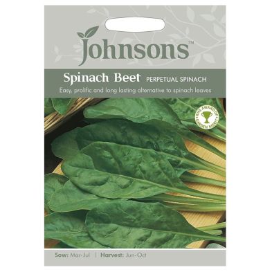 Johnsons Spinach Beet Perpetual Spinach Seeds
