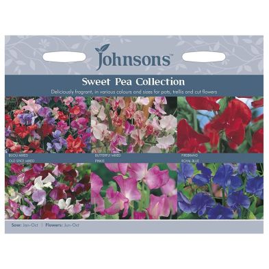 Johnsons Sweet Pea Collection Seeds