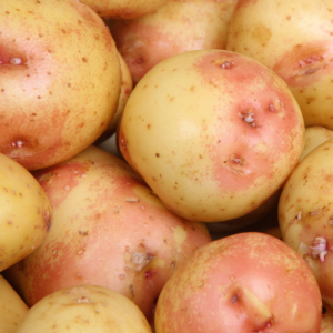 King Edward Seed Potatoes 1kg