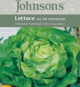 Johnsons Lettuce All The Year Round Seeds
