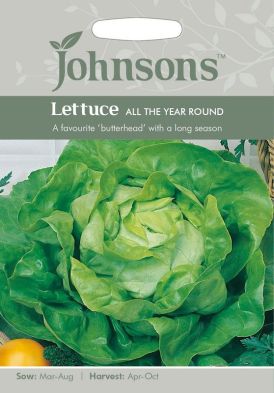 Johnsons Lettuce All The Year Round Seeds
