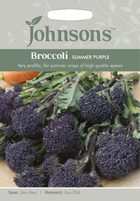 Johnsons Sprouting Broccoli Summer Purple Seeds