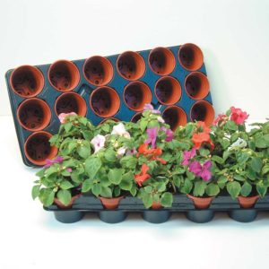 'Grow On' Pots and Trays (Medium)