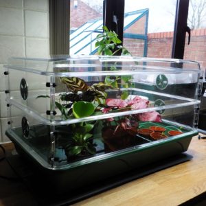 Large Propagator With Height Extender