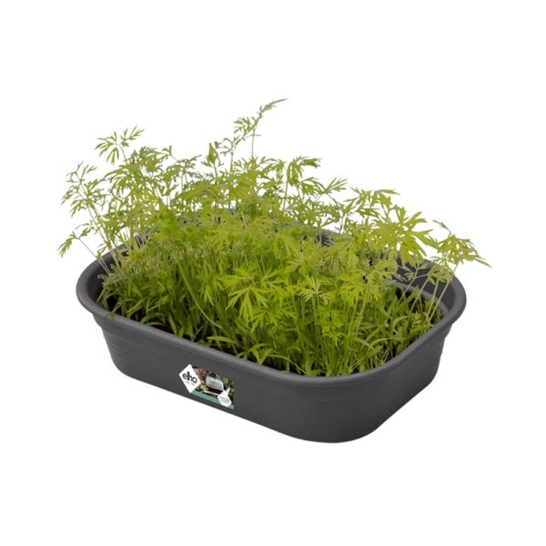 Elho Green Basics Small Grow Tray (Leaf Green)