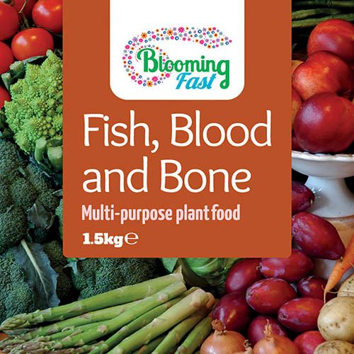 Blooming Fast Fish Blood & Bone 1.5Kg tub