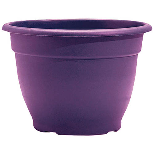 Raisin Bella Planter 31cm