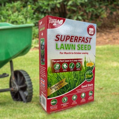 Superfast Lawn Seed 400g 27sqm