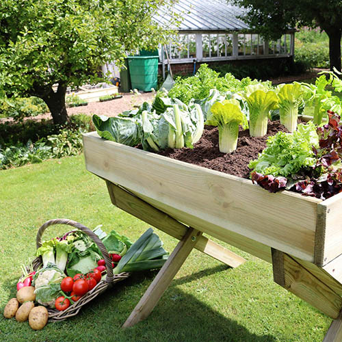 The Vegetable Grow Bed