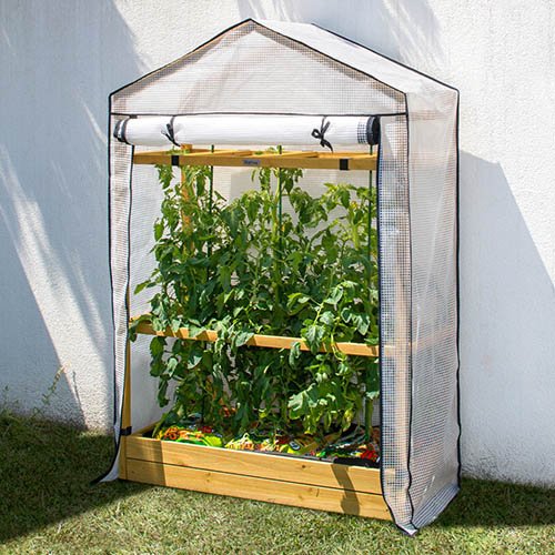 Tomato Greenhouse & PE Cover - Natural