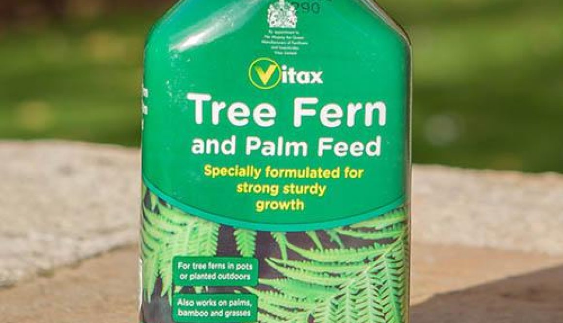 Vitax Tree Fern & Palm Feed 500ml