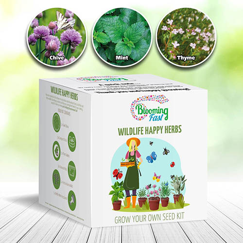 Wildlife Happy Herbs Seed Gift Kit