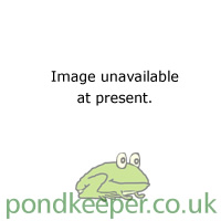7.5x7.5 Greenseal Pondliner