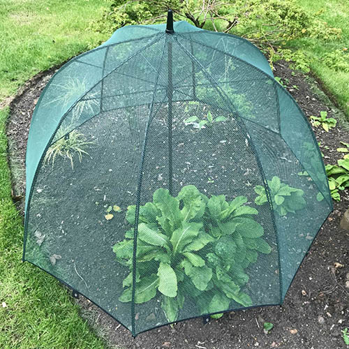Pop n Crop Plant Protection Umbrella