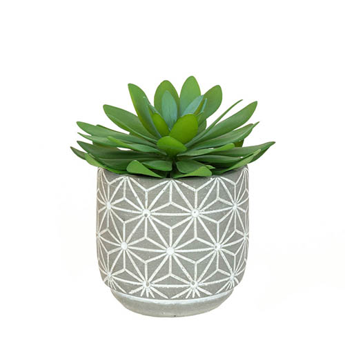 Stylish Potted Succulent - Artificial