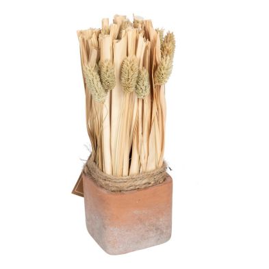 Fluffy Dried Grass Bouquet in Terracotta Pot